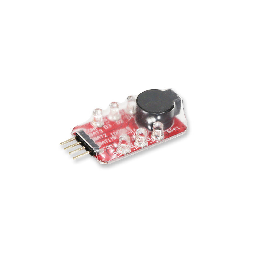 Lipo Wächter 2S bis 3S