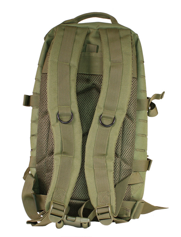 Tragegurte mit Metall D-Ringen 