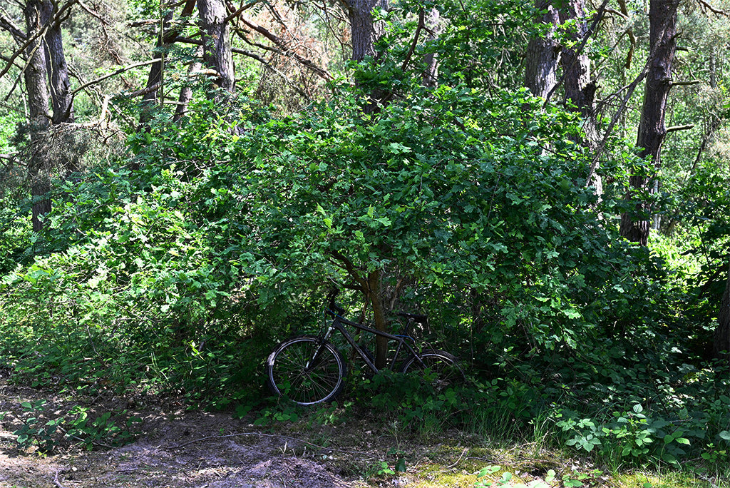 Tarnnetz Flecktarn Basic Light 3