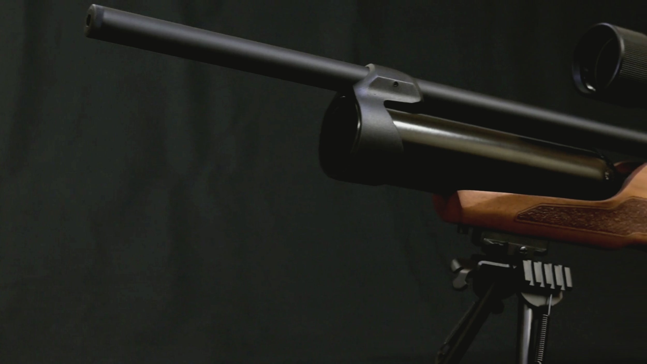Reximex Accura Walnuss - PCP Pressluftgewehr Kaliber 4,5mm Diabolo
