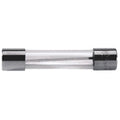 ASG Glasrohr Sicherung / Fuse 20 Amp.